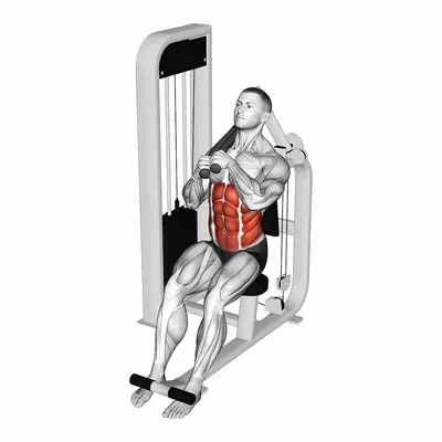 Lever Seated Left Side Crunch exercise targeting Waist