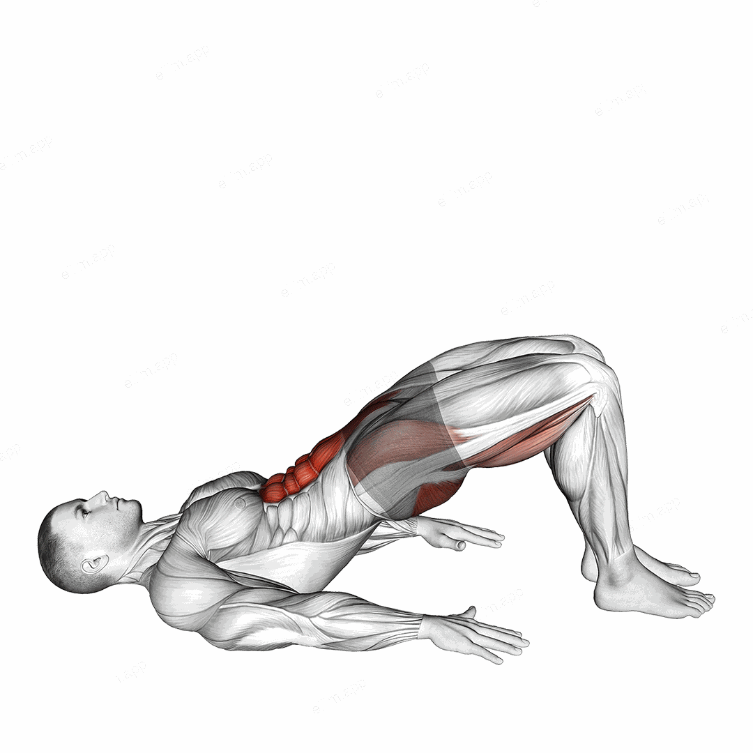 Glute March exercise targeting Hips and Gluteus Maximus