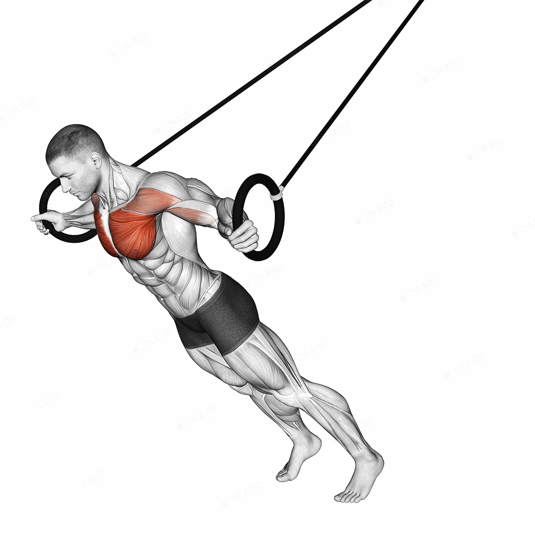 Ring Chest Fly exercise targeting Chest