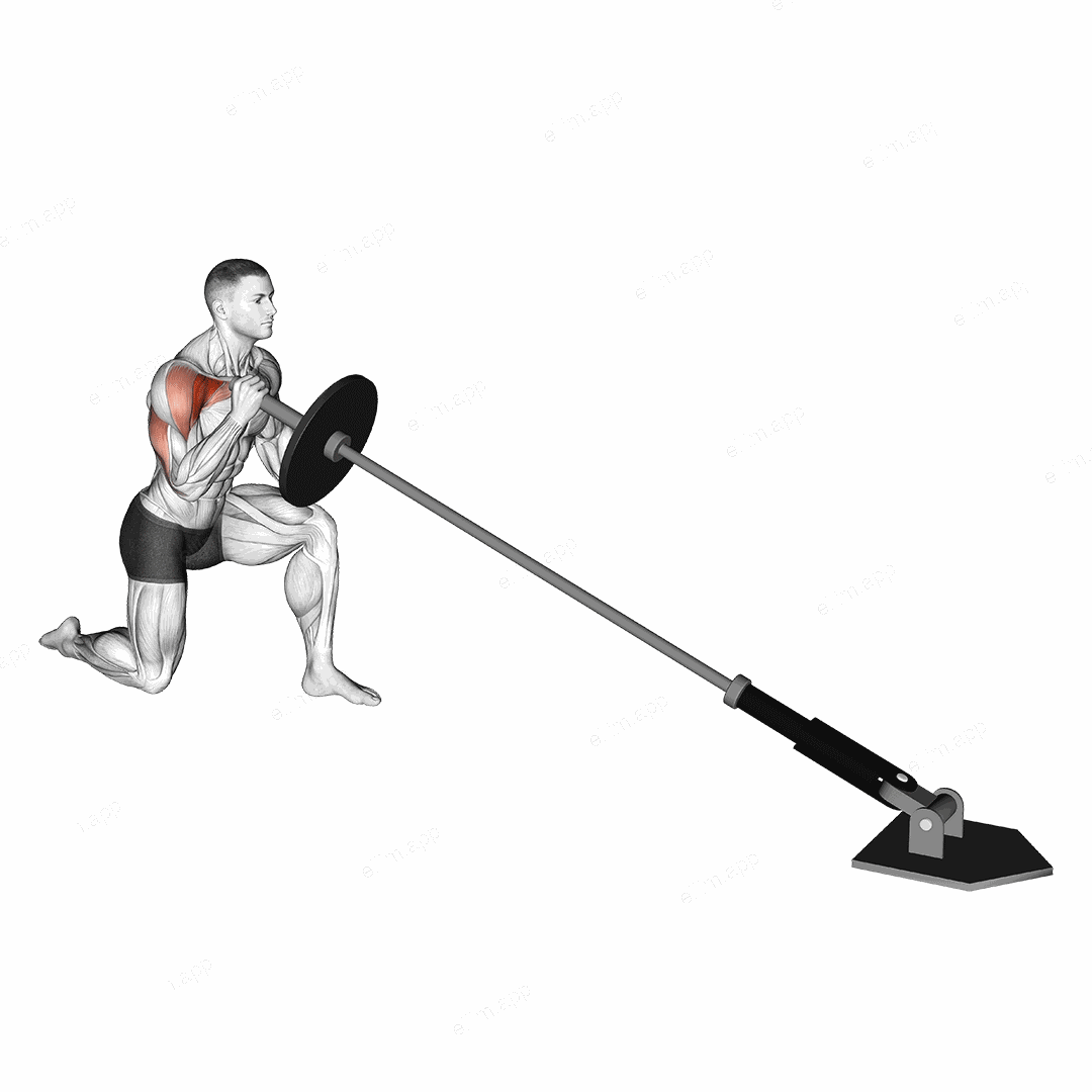 Landmine Kneeling One Arm Shoulder Press exercise targeting Shoulders and Deltoid Anterior