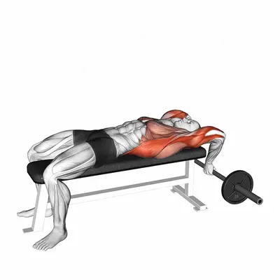 Old School Reverse Extensions exercise targeting Latissimus Dorsi and Triceps Brachii