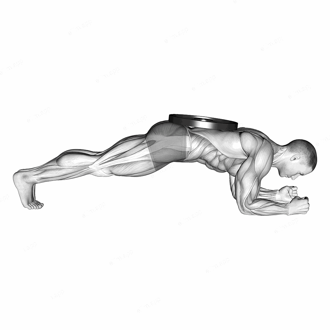 Weighted Front Plank exercise targeting Waist