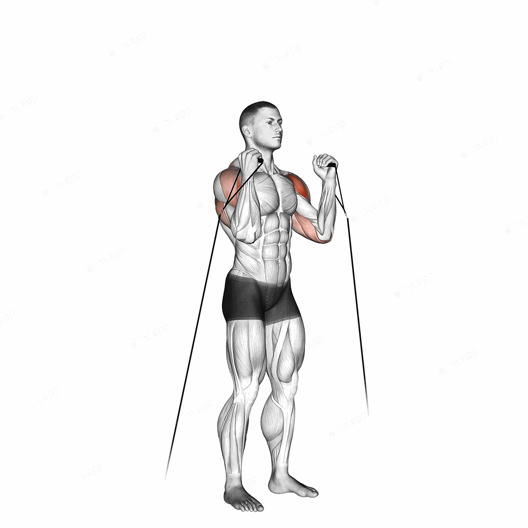 Cable Alternate Shoulder Press exercise targeting Shoulders and Deltoid Anterior