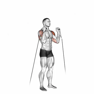 Cable Alternate Shoulder Press exercise targeting Shoulders and Deltoid Anterior