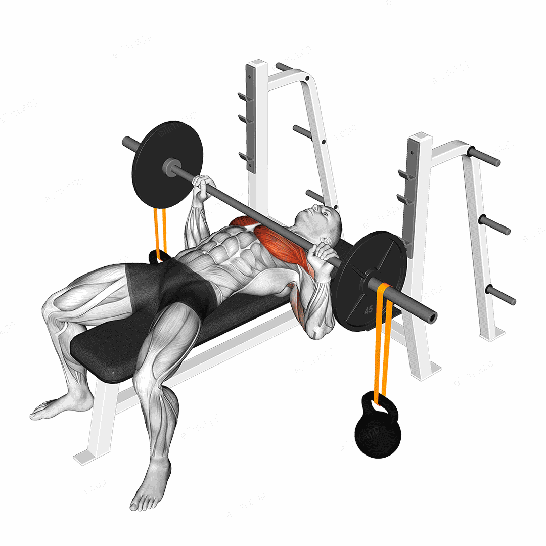 Barbell Bench Press with Band Suspended Kettlebell exercise targeting Chest