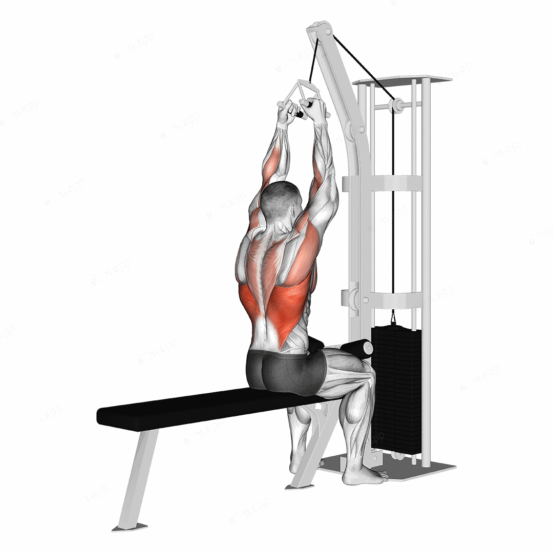 Cable Lateral Pulldown with V-bar exercise targeting Back and Latissimus Dorsi