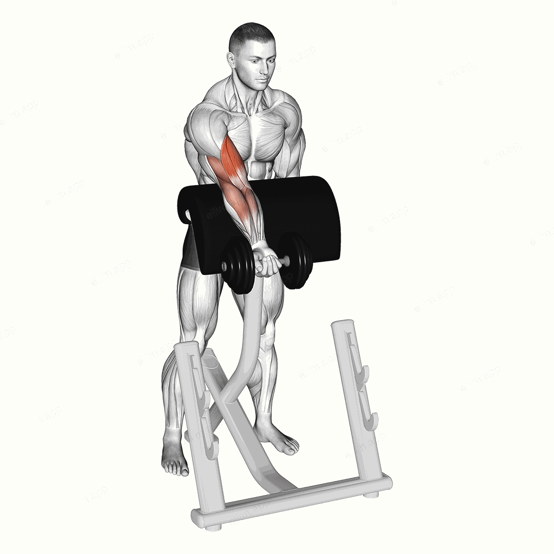 Dumbbell Standing Zottman Preacher Curl exercise targeting Upper Arms and Biceps Brachii