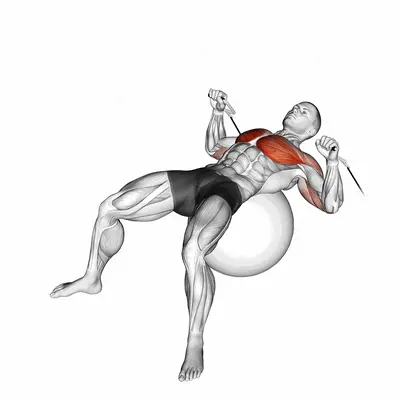 Cable Press on Exercise Ball exercise targeting Chest and Pectoralis Major Sternal Head