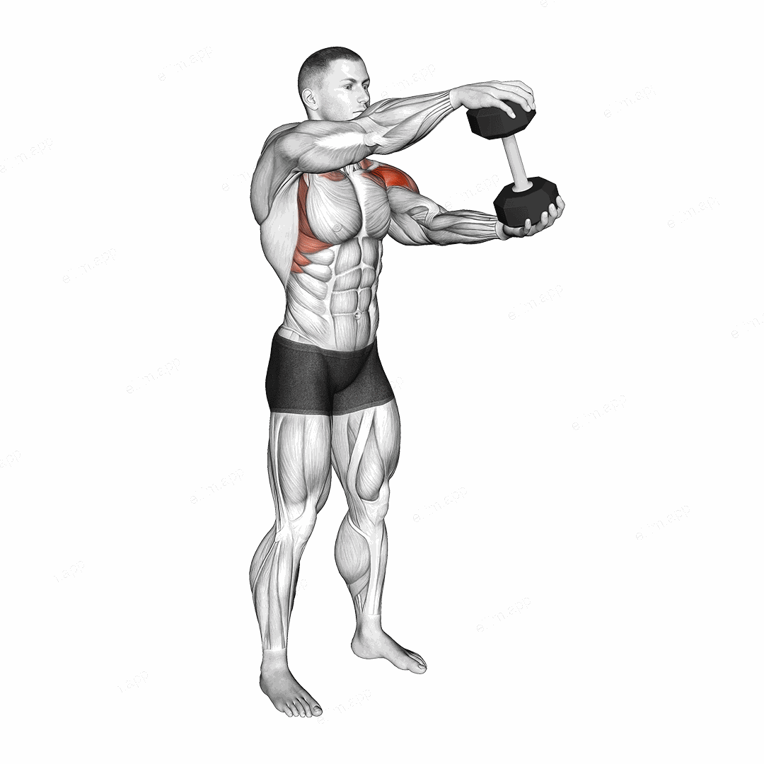 Dumbbell Standing Driver exercise targeting Shoulders