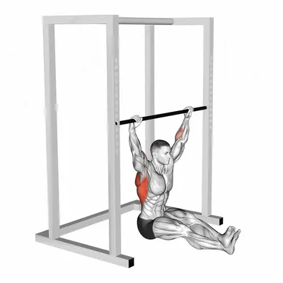 Wide Seated Pull up exercise targeting Back