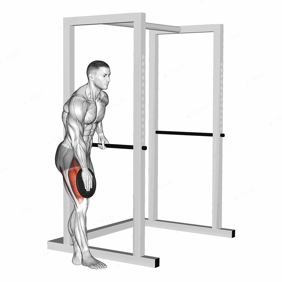 Weighted Single Leg Lift exercise targeting Thighs and Iliopsoas