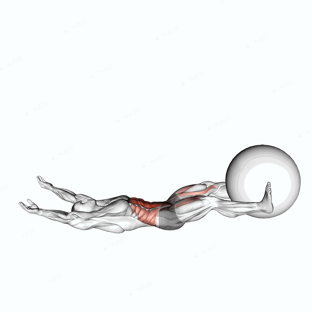 V-Up Down (with Stability ball) exercise targeting Waist