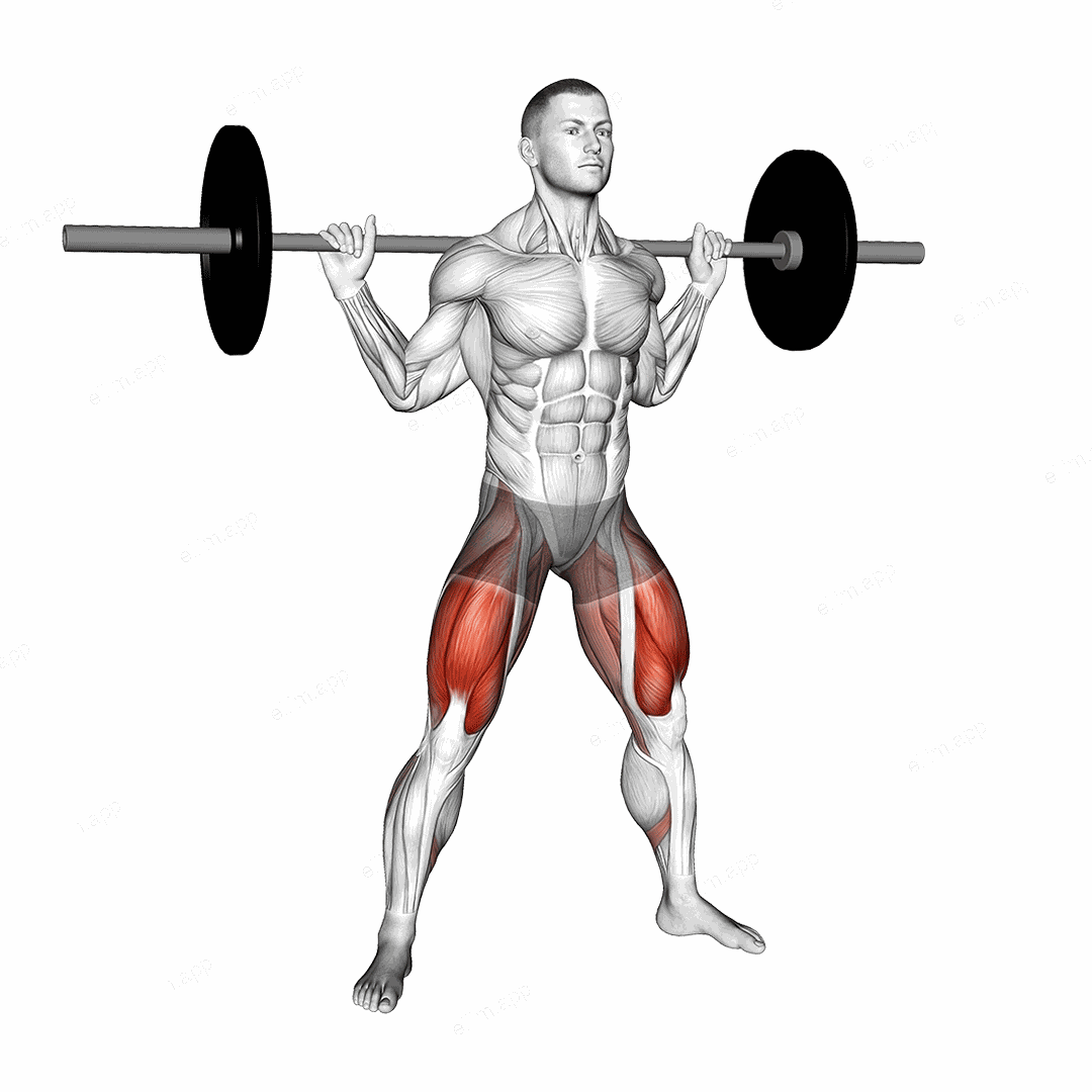 Barbell Wide Squat exercise targeting Thighs and Quadriceps