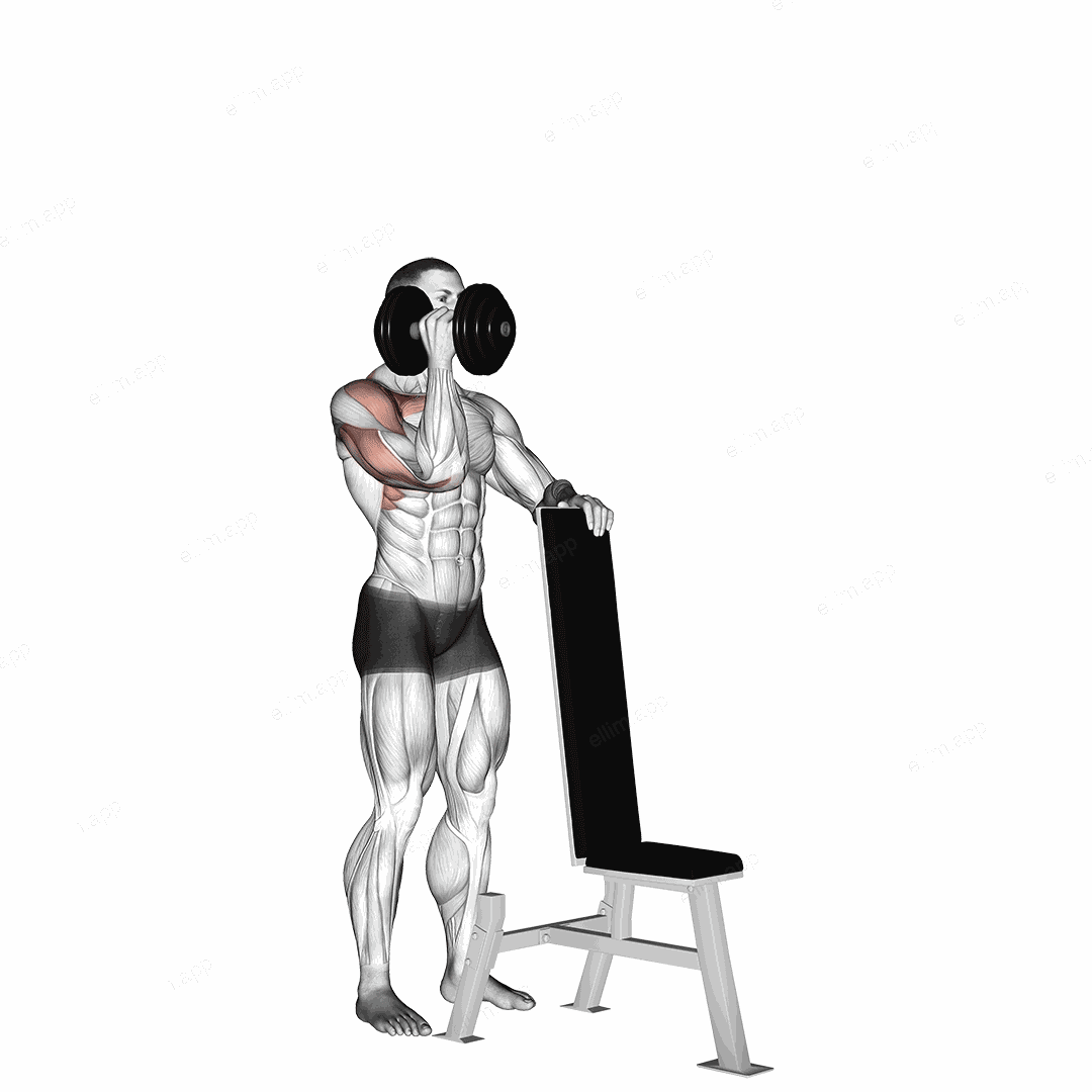 Dumbbell Standing One Arm Palm In Press exercise targeting Shoulders and Deltoid Anterior