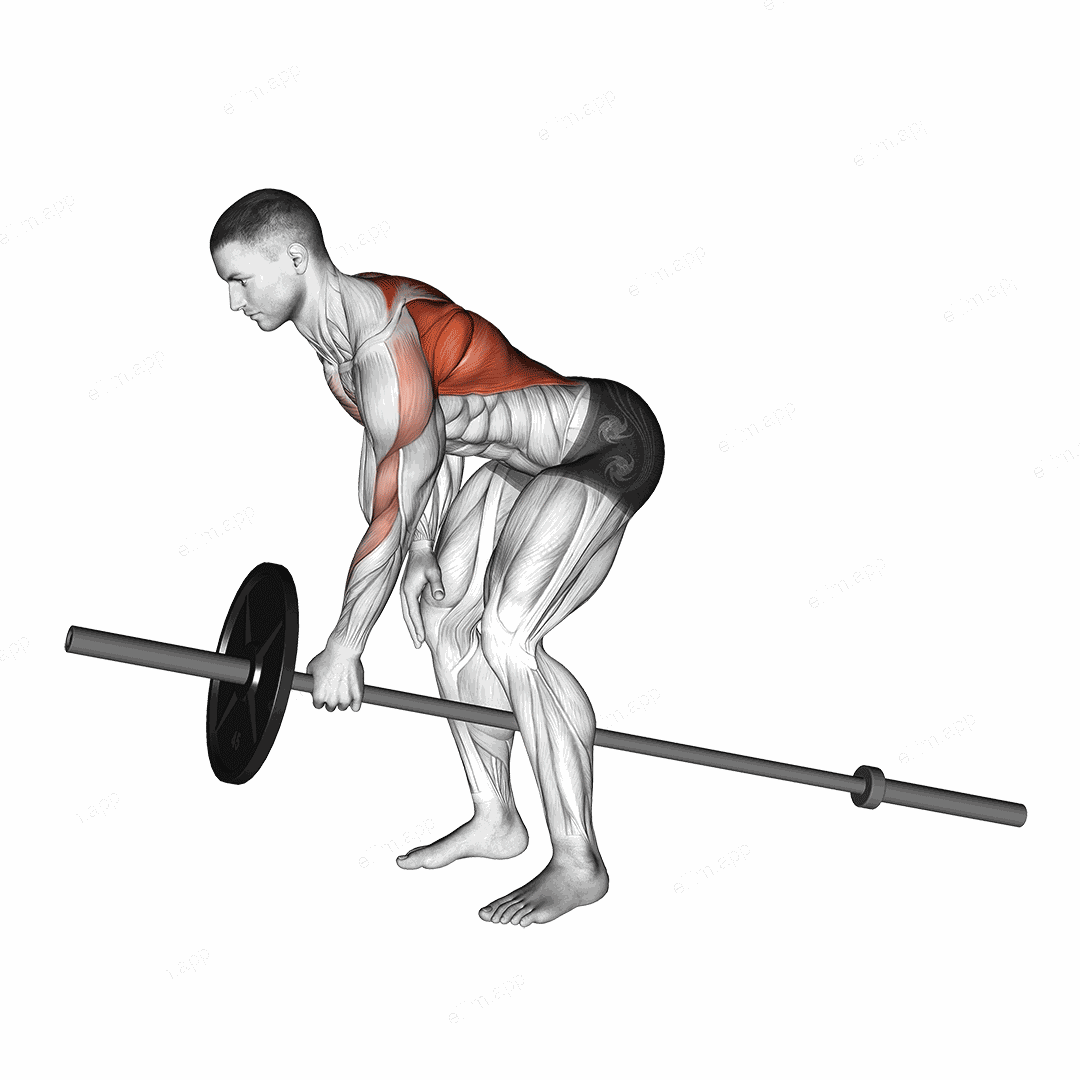 Lever One Arm Bent over Row (plate loaded) exercise targeting Back and Infraspinatus