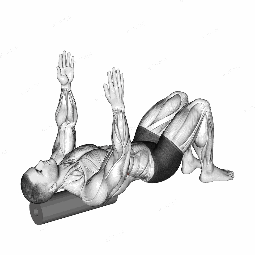Roll Shoulder Blade Reach Lying on Floor exercise targeting Back