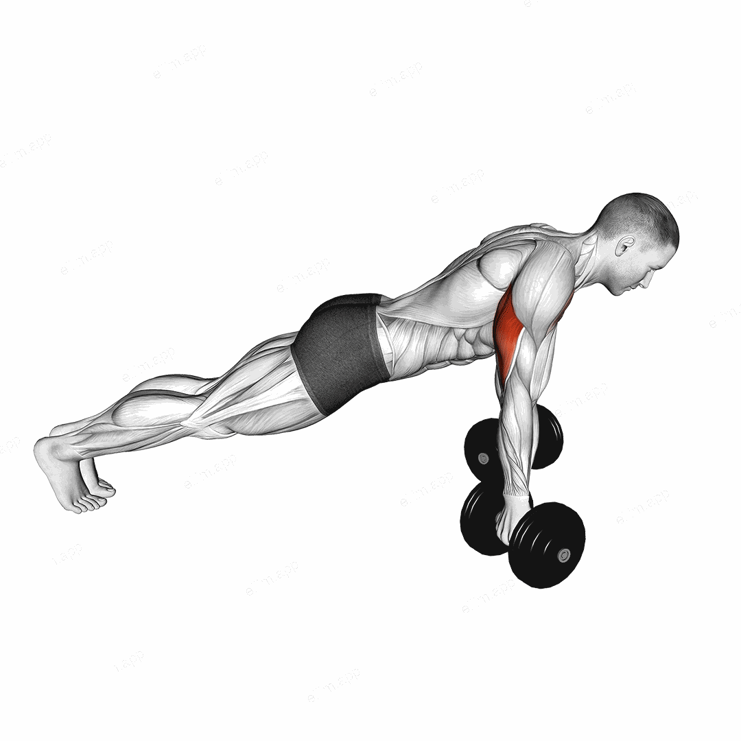 Dumbbell Reverse Push-up exercise targeting Upper Arms