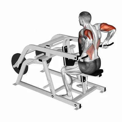 Lever Triceps Dip (plate loaded) exercise targeting Upper Arms and Triceps Brachii