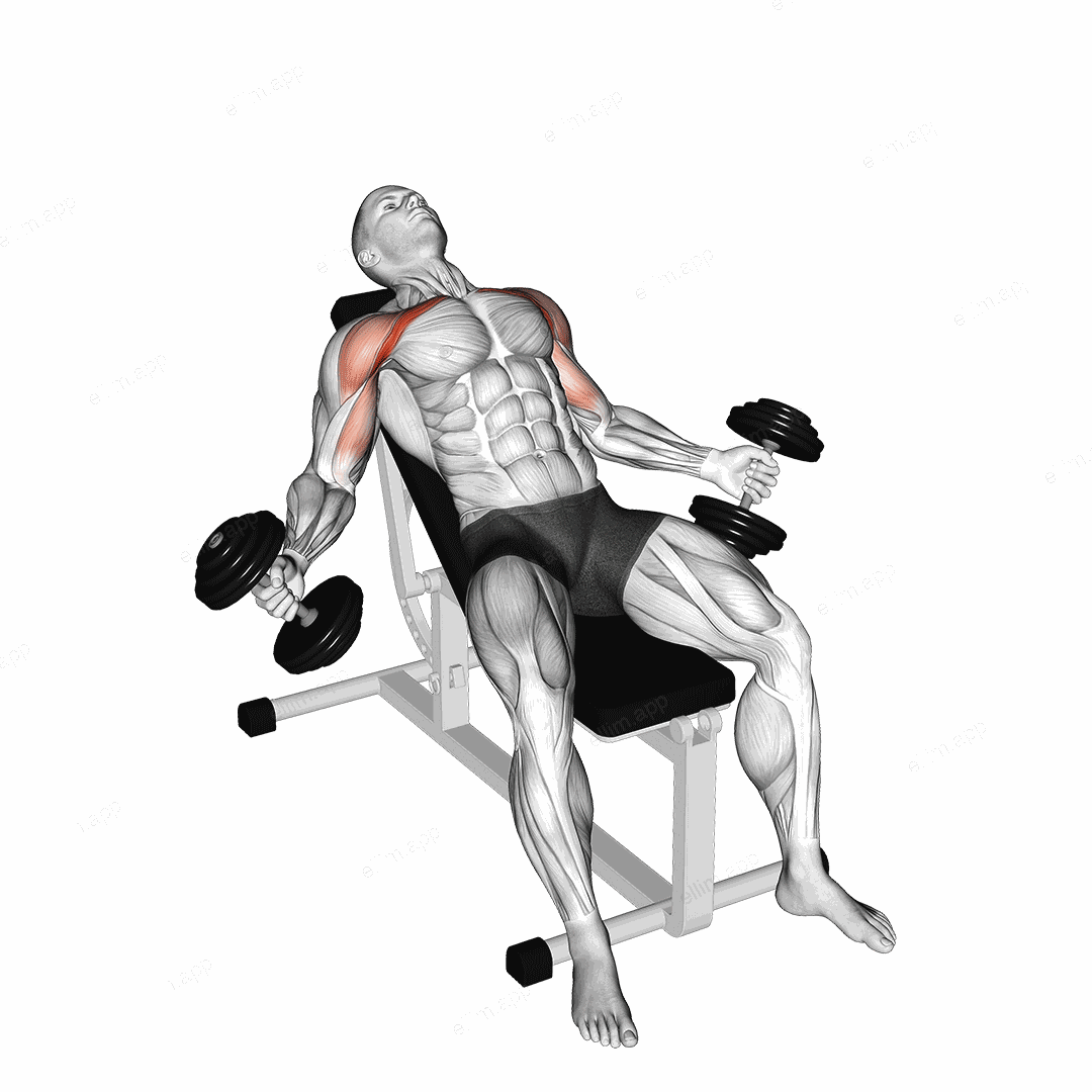 Hyght Dumbbell Fly exercise targeting Chest and Pectoralis Major Clavicular Head
