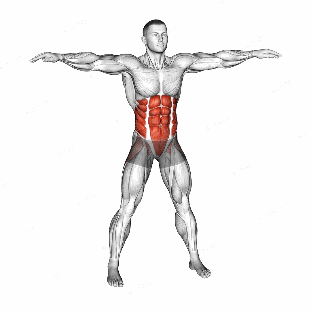 Bodyweight Windmill exercise targeting Waist and Obliques