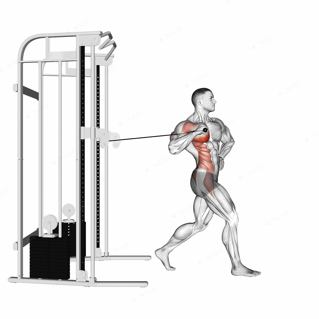 Cable twisting standing one arm chest press exercise targeting Chest and Pectoralis Major Sternal Head