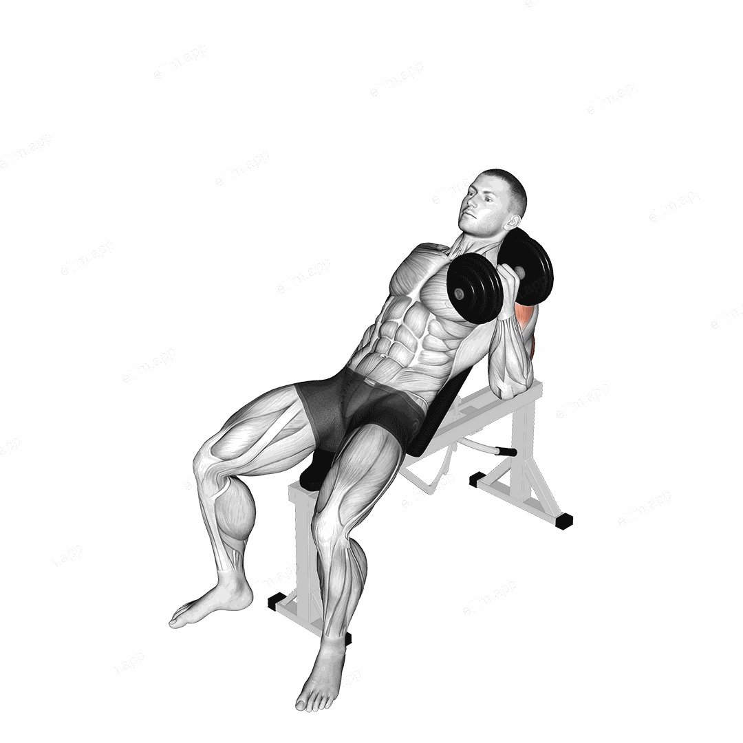 Dumbbell Incline One Arm Hammer Press exercise targeting Upper Arms