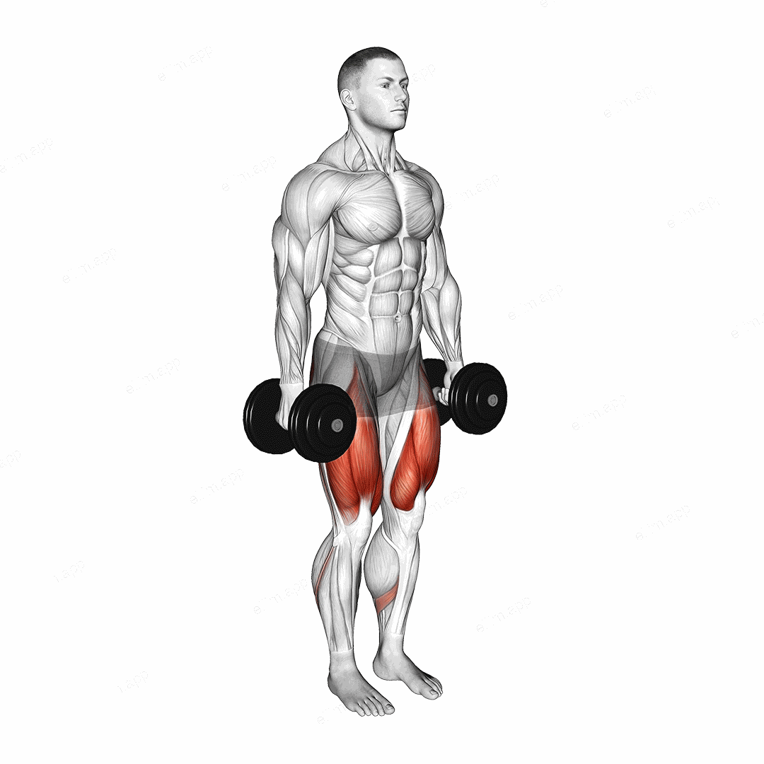Dumbbell Narrow Stance Squat exercise targeting Thighs and Quadriceps
