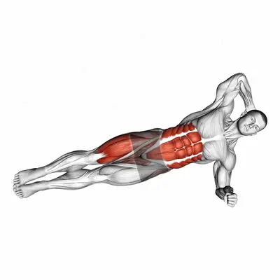 Elbow to Knee Side Plank Crunch exercise targeting Gluteus Maximus and Gluteus Medius