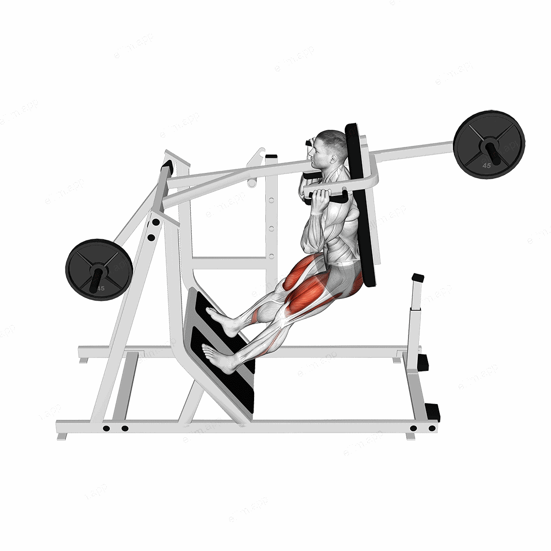Lever Pendulum Squat (plate loaded) exercise targeting Gluteus Maximus and Quadriceps