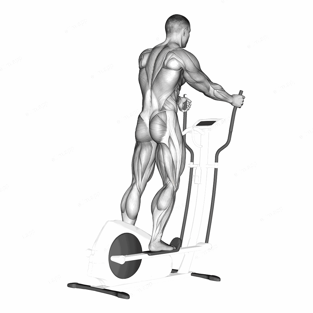 Walk (equipment) exercise targeting Cardio