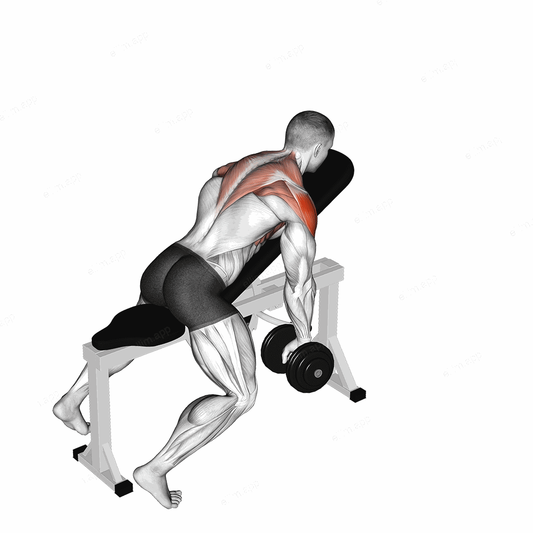 Dumbbell Incline Y-Raise exercise targeting Shoulders and Infraspinatus