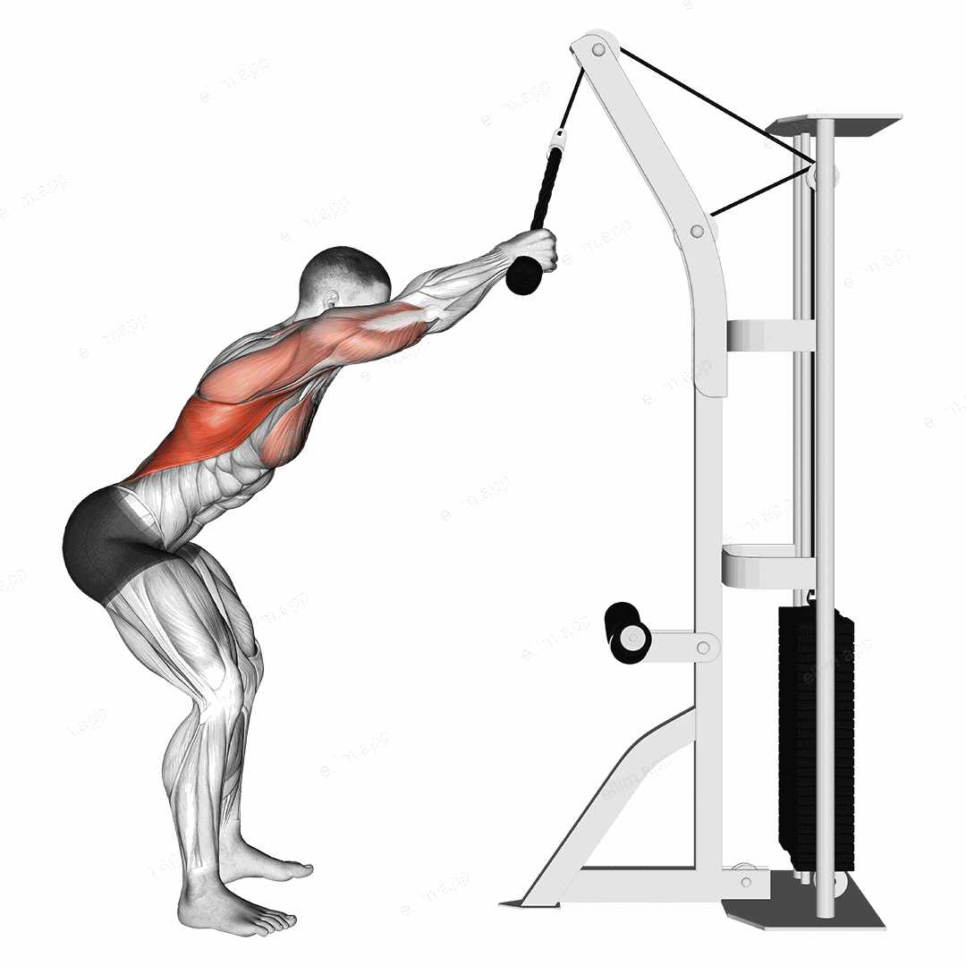 Cable Standing Lat Pushdown (rope equipment) exercise targeting Back and Latissimus Dorsi