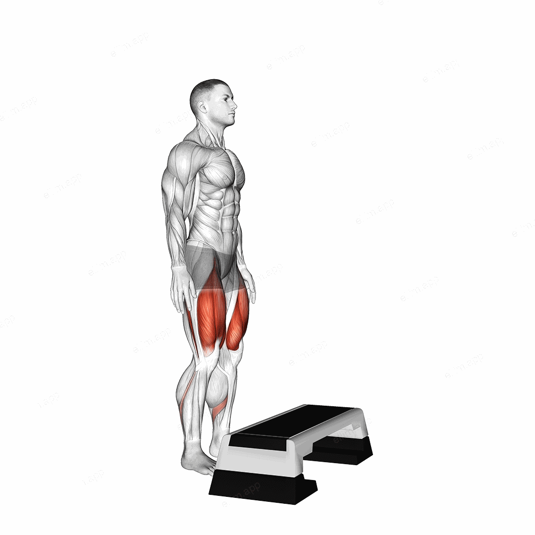 Bodyweight Step-up on Stepbox exercise targeting Thighs and Gluteus Maximus