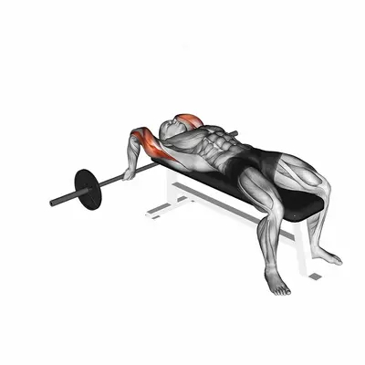 Barbell Lying Close grip Triceps Extension exercise targeting Upper Arms