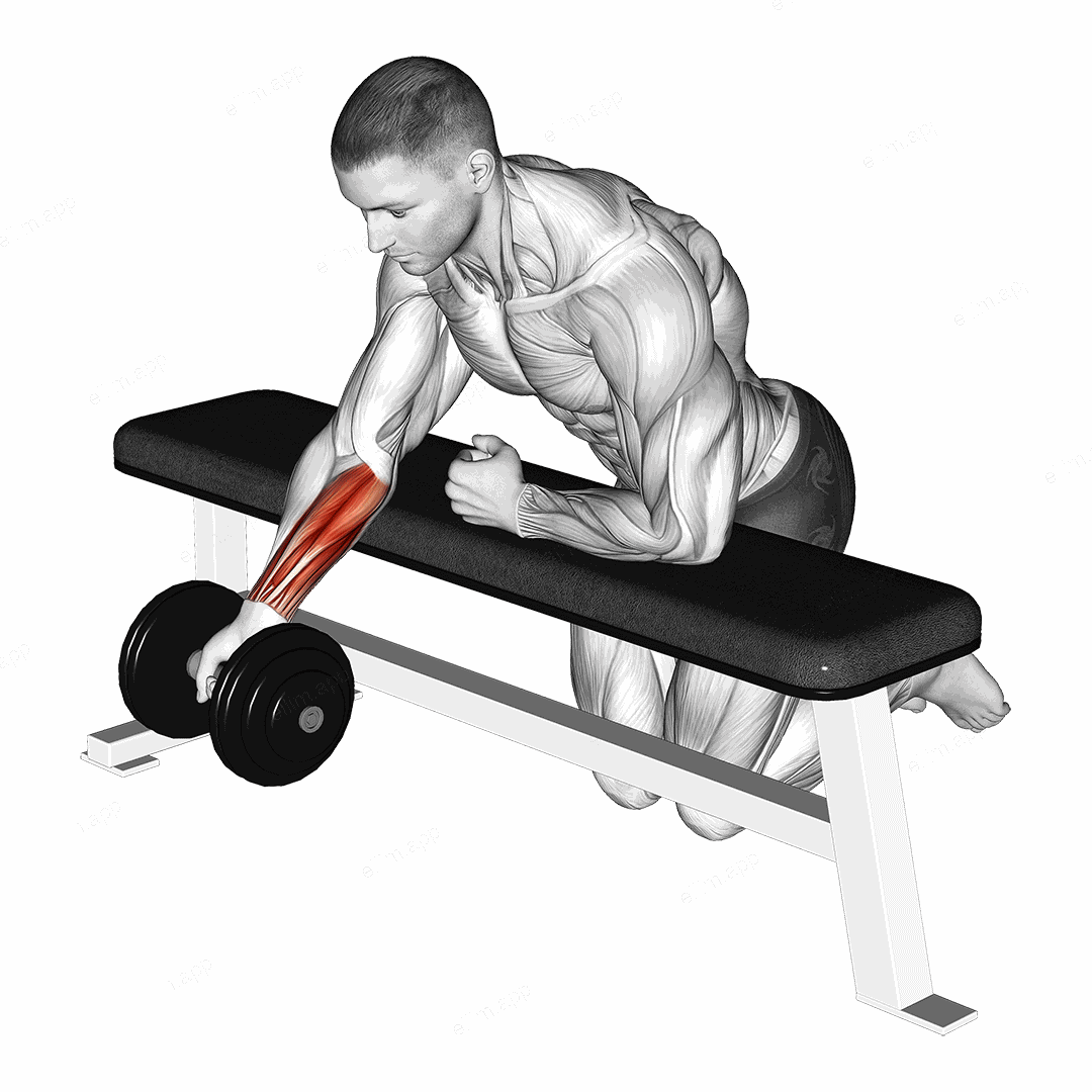 Dumbbell Over Bench One Arm Reverse Wrist Curl exercise targeting Forearms and Wrist Flexors