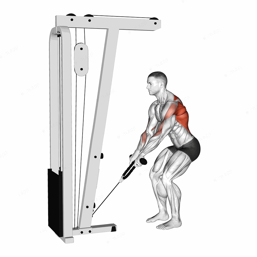 Cable Low Row with Rope Attachment exercise targeting Back