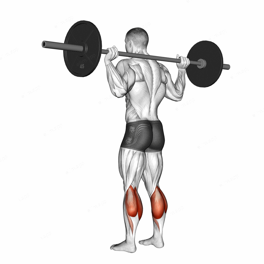 Barbell Floor Calf Raise exercise targeting Calves and Gastrocnemius