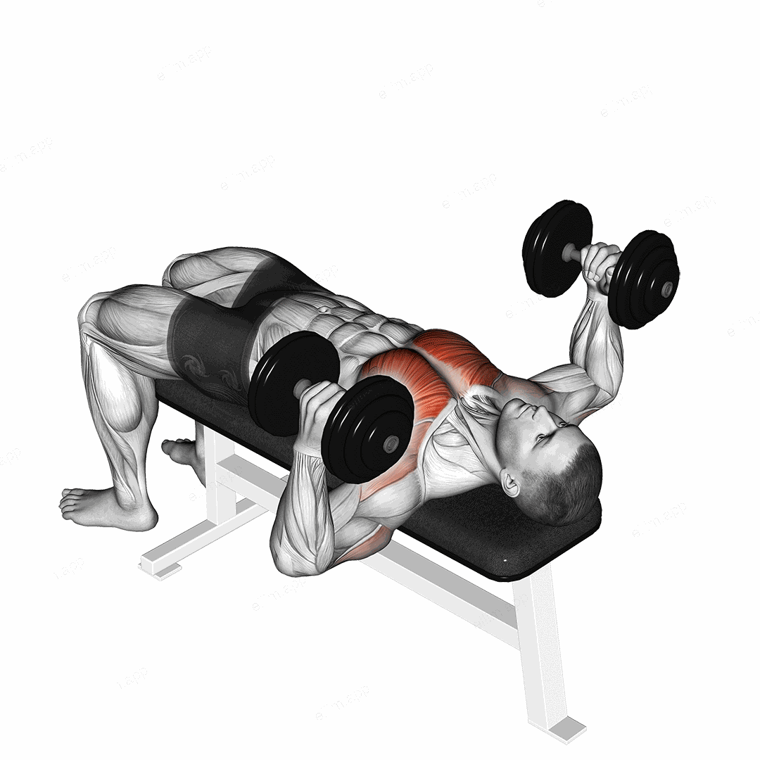 Dumbbell Lying Hammer Press exercise targeting Chest and Pectoralis Major Clavicular Head
