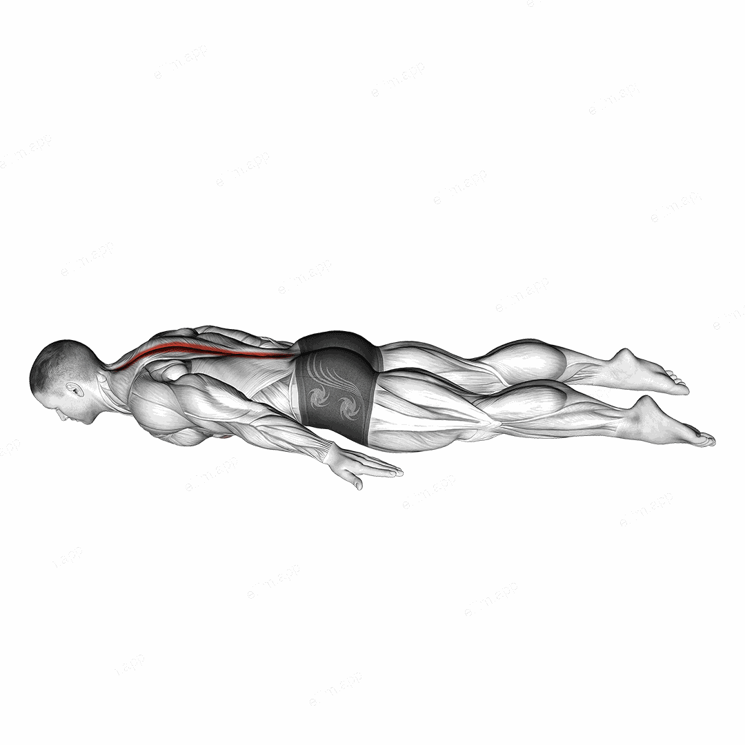 Lower Back Curl exercise targeting Back and Erector Spinae