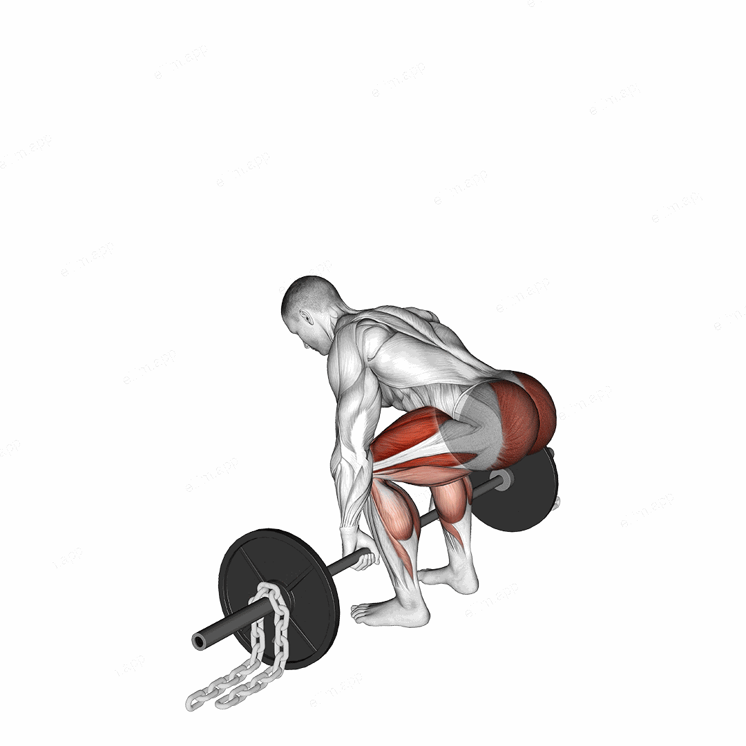 Barbell Deadlift against Chains exercise targeting Hips