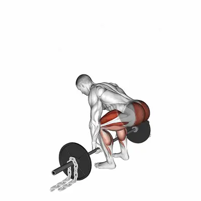 Barbell Deadlift against Chains exercise targeting Hips
