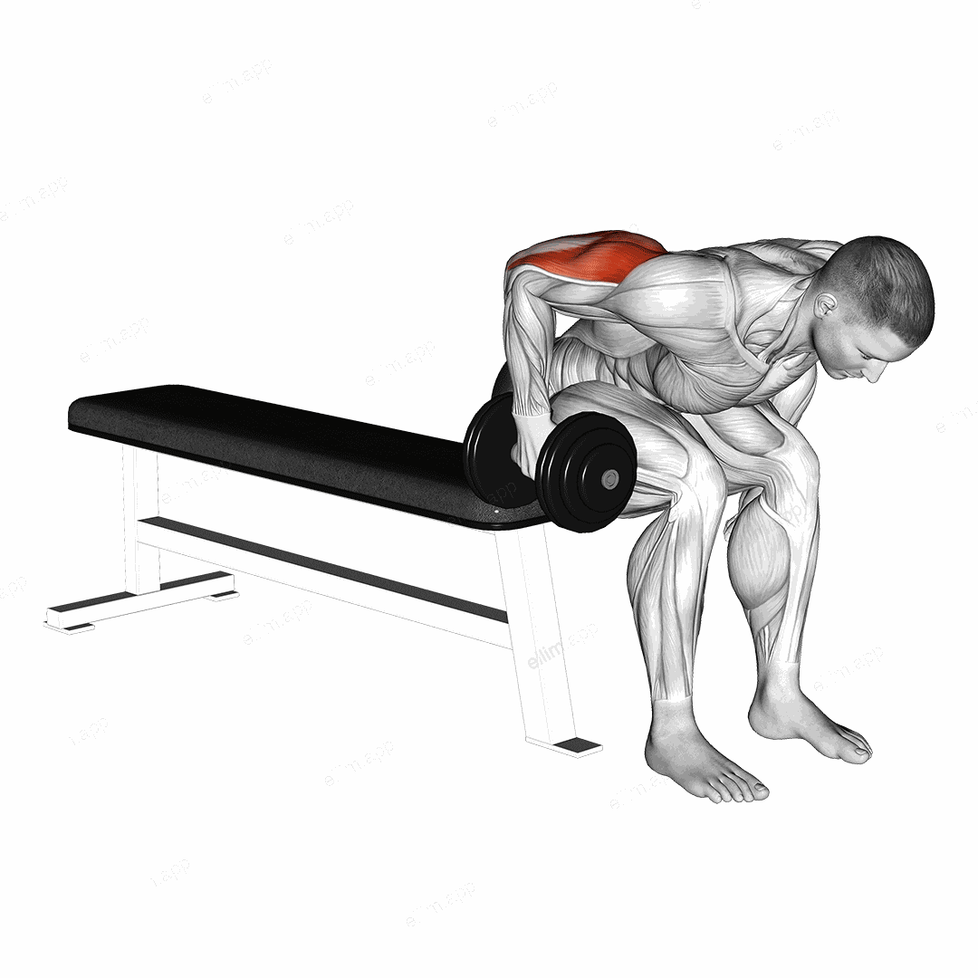 Dumbbell Seated Bent Over Triceps Extension exercise targeting Upper Arms