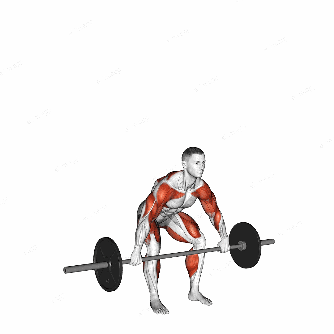 Barbell Hang Snatch Below the Knees exercise targeting Weightlifting