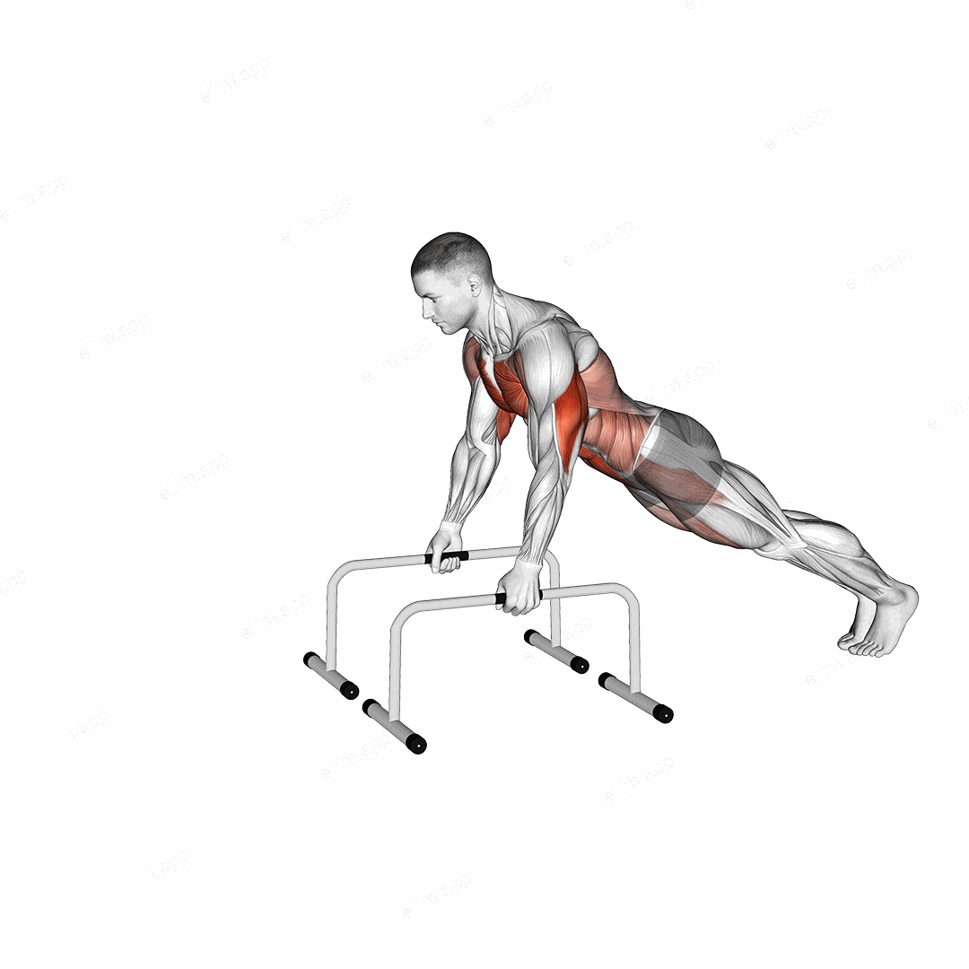 Push up and Triceps Dip on Parallel Bars exercise targeting Chest