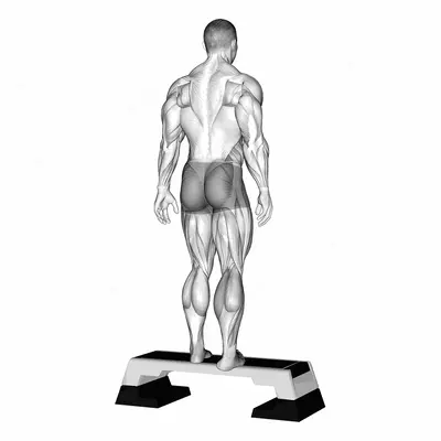 Plantar Flexor And Foot Everter Stretch exercise targeting Calves