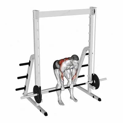 Smith Bent Over Narrow Pronated Grip Row exercise targeting Back and Infraspinatus