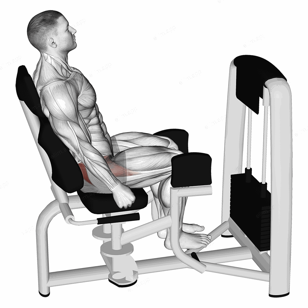Lever Seated Hip Abduction exercise targeting Hips and Gluteus Maximus