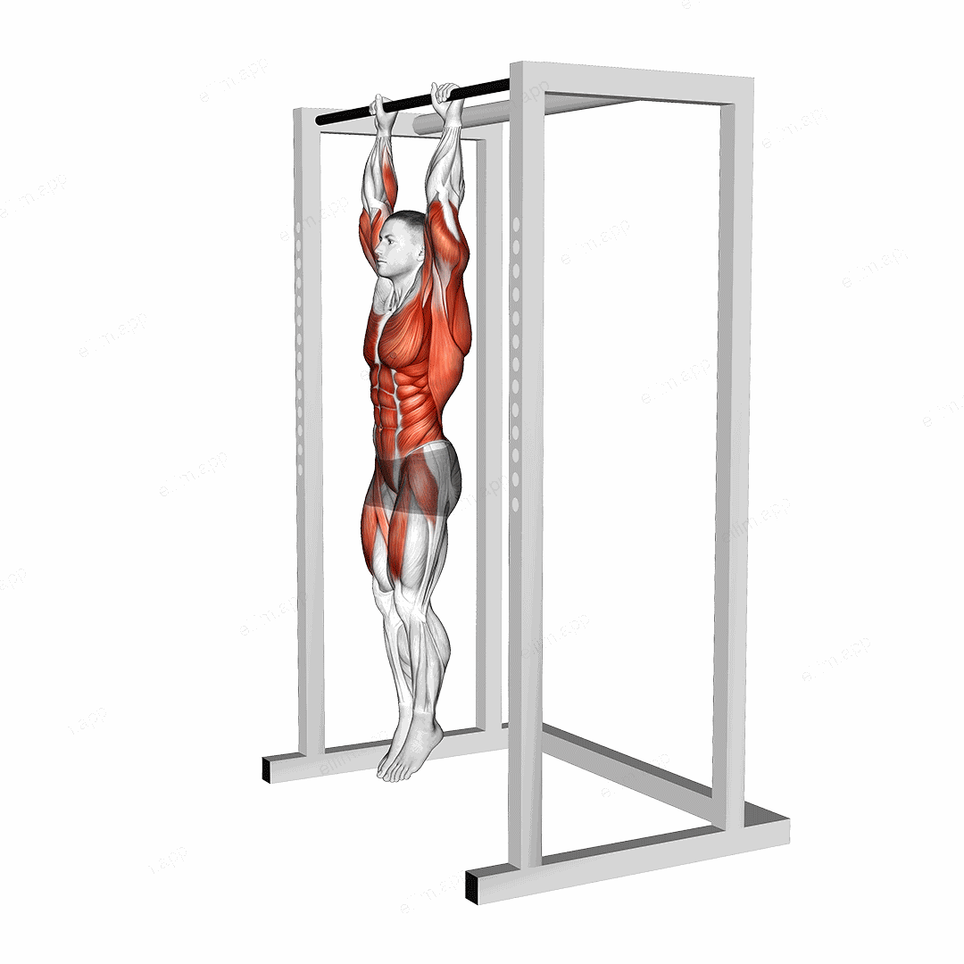 Hanging Advanced Tucked Front Lever Hold exercise targeting Waist