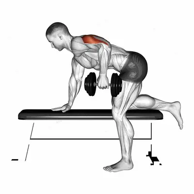 Dumbbell Kickback exercise targeting Upper Arms and Triceps Brachii