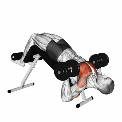 Dumbbell Single Arm Alternate Decline Bench Press exercise targeting Chest and Pectoralis Major Sternal Head